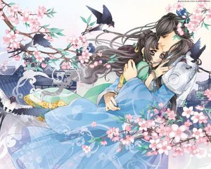 害羞草传媒有限公司